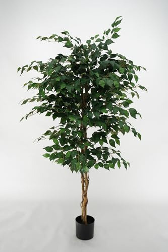 Ficus Benjamin Plante synthétique avec troncs tressés en bois naturel et feuilles en polyester et soie (Ficus-Benjamin 180 cm)