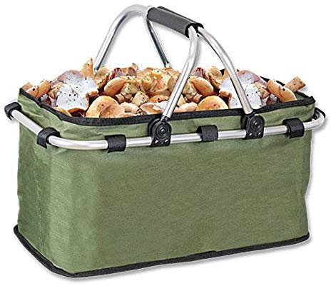 Tiendas LGP Albainox Cesta Multiusos Plegable Especial para recolección de Setas y Frutas