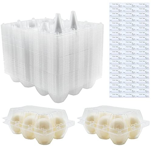 BULKBUY Lot de 60 boîtes à œufs vierges en plastique transparent respectueux de l'environnement avec étiquettes gratuites, peut contenir jusqu'à 6 œufs de canard en toute sécurité, parfait pour les