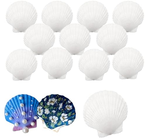 IOPJLK Coquilles Saint-Jacques 12 Pièces, Naturel Grand Coquille 10-12cm, Blanc Décorations de Coquille Coquillages, Coquilles de Première pour Mariage de Plage et Océan Crafts la Décoration