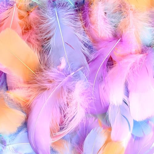 600 Stück Bunte Federn zum Basteln, Macaron Farben Federn Basteln, Bastelfedern, Natürliche Federn Deko Federn für Traumfänger DIY Handwerk Hochzeit Party Dekoration Naturfedern(Gemischte Farben)