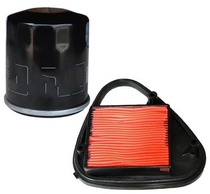 Doppio strato acciaio rinforzato Filtri aria e olio per moto adatti per Honda VT600 Shadow VLX 600 VT600C 1988-1998 Gomma collettore 45° universale