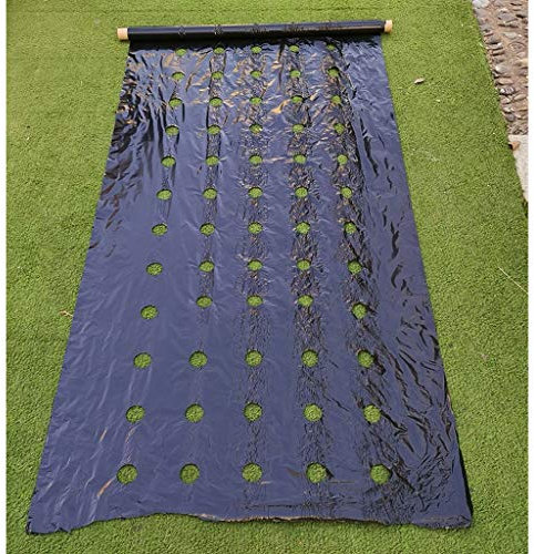 HFRSE Perforierter Mulch Zur Unkrautbekämpfung, Landwirtschaftsfolie, Zuchtmulch, Gemüsebeet for Tomaten- Und Erdbeerwachstum, 4,5 cm Loch(0.95x40m)