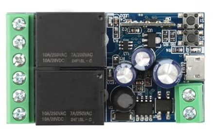 Harewtwy Interruptor Inteligente WIFI con Módulo de 12 V, 24 V y 48 V CC, Receptor de Relé de 2 Canales, Control Remoto Inalámbrico, Funciona con USB.