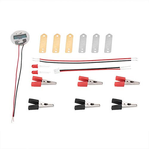 LetCart Kit Di Esperimenti Scientifici Sulla Batteria Della Frutta, Kit Scientifico Bioenergetico Per Bambini Esperimenti Educativi Di Elettricità Con Le Patate