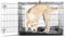Puppy Dog Double Door 4 Locks Metal Dog Cage with Carry Handle & Removable Plastic Tray 24 Inch Foldable Crate for Cats, Dogs, Small Animals Travel & Safety House (Small (24 inch))