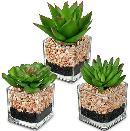 3 piante grasse artificiali, pianta artificiale come vera in vaso di vetro, piante grasse decorative, per soggiorno, balcone, camera da letto, bagno, decorazione da tavolo
