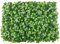 EIIDJFF Siepe Artificiale Ornamentale Schermo per la privacy dello sfondo decorativo del prato di recinzione di edera finta per soggiorno Sfondo verde erba