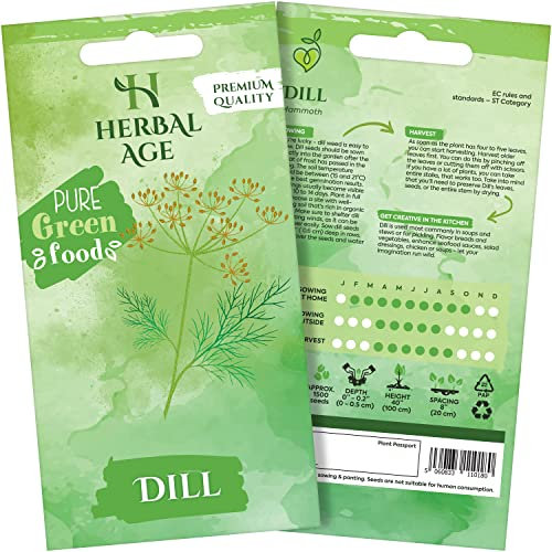HERBAL AGE Dill Seeds Plants, Grow Your Own Herb Garden Kit, ~500 Seed Box, Salad Herbs Seeds for Planting UK, Veg Plant Gardening Gift for Men, Women, Kids, Seeds to Plant Outdoor & Indoor