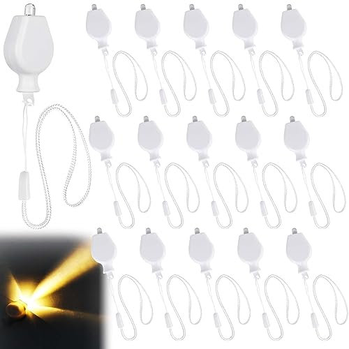 LED Ballonlichter, 16 Stück Laternenlichter, Lampions Licht Warmweiß, Batteriebetriebene Ballonlichter, Mini Led Licht von Hand Gezogenes Weißes Seil für Hochzeit, Halloween, Weihnachten, Party