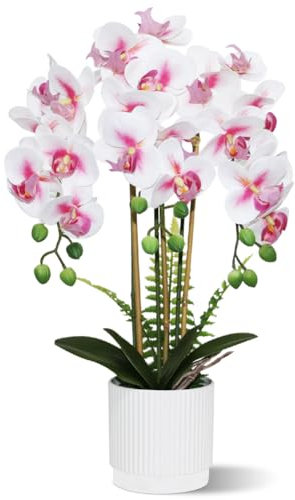 Olrla Künstliche Orchidee, 3 Zweige im weißen Topf, realistische künstliche Schmetterlings-Orchidee, Bonsai für Badezimmer, Wohnzimmer, Dekoration, Tischdekoration