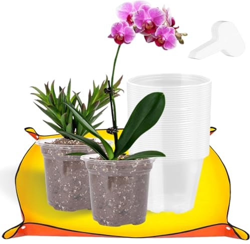 GKZB Maceta Orquidea Macetas de Plastico 30 Piezas Macetas Plastico con Estera de Jardinería Maceta para Orquídeas Macetas Transparentes Macetas para Orquídeas para Balcón Interior y Exterior