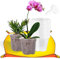 Orchideentopf 30 Stück Klare Anzuchttöpfe mit Pflanzmatte 10,5cm Pflanztopf Pflanzentöpfe Pflanztöpfe Anzuchttopf Blumentopf Orchideentöpfe Blumentöpfe Pflanzentopf für Sukkulenten, Samen, Setzlinge