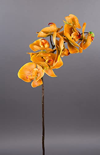 Orchideenzweig Real Touch 72cm CG Kunstblumen künstliche Orchidee Orchideen Blumen Seidenblumen … (Gelb)