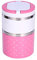 Termo para Comida, Frascos térmicos para Comida, 900ml Termo para Comida Botella Aislada de Acero Inoxidable Frascos térmicos para Alimentos, Beber y Sopa y Las Comidas (rosa)