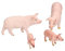 4 Stück Realistische Bauernhof Schwein Tiere Modell Figuren Spielzeug Set, Schwein Figur Modelle Party für Kinder(Schwein Tiere Modell)
