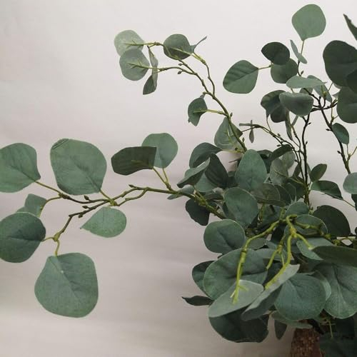 50 pcs eukalyptus samen winterhart, alte sorten, stauden winterhart mehrjährig eukalyptus baum - Eucalyptus robusta - bonsai baum echt, seed gartenpflanzen winterhart mehrjährig, blumen