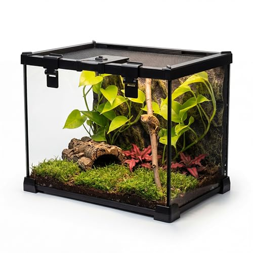 NEPTONION Mini terrarium en verre pour reptile avec vue complète - Cage d'habitat pour petits amphibiens avec fente d'alimentation et boucle de verrouillage (50,8 x 30,5 x 35,6 cm (P x l x H)