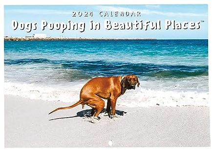 Kalender Zum Hundekacken 2024 – Kalender Mit Lustigen Kackenden Tieren Und Hunden | 12 Monatliche Dekorative Wandkalender | Lustiger Wandkalender Für Schlafzimmer, Wohnzimmer