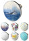 arteneur® - Pop Up Waschbeckenstöpsel mit Motiv Wal Fisch | Abflusssieb | Doppel Dichtung | Universal Abflussstöpsel 34mm – 41mm | Pop Up Ventil Waschbecken Stöpsel