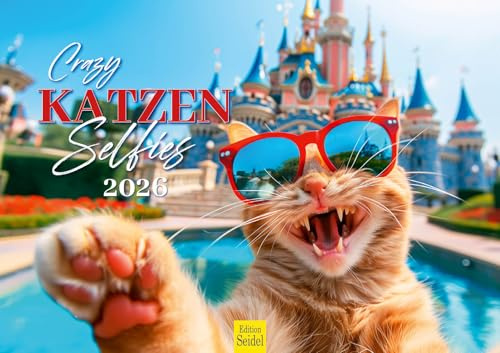 Edition Seidel Premium Kalender Crazy Katzen Selfies 2026 Format DIN A3 Wandkalender Katzenkalender Haustiere Kätzchen Katze Kater Reisen