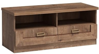 Masseno TV-Schrank Udine 118 cm Fernsehschrank mit 2 Schubladen TV-Lowboard für Wohnzimmer Modern 118x50x50 cm Braun