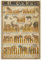 TNND Game & Ammo Jagdkartuschen Poster Wissen Wanddekoration Druck für New Hunter Art Wanddekoration Metallschild Poster 20,3 x 30,5 cm