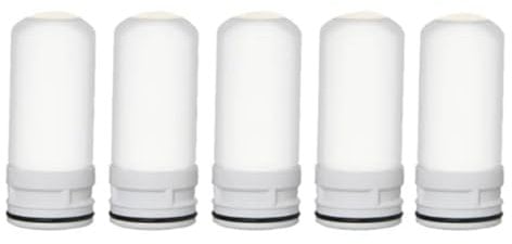 HUTSRAI 5 Piezas de Repuesto de Filtro Interno de CeráMica para Grifo, Purificador de Agua, Grifo de Cocina, Filtro Lavable, óXido