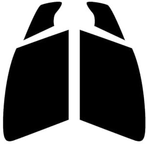 Window-Tint.co.uk Pre Cut Window Tint for Citroen Berlingo Van - 2008 to 2018 - Front Windows 70% Ultra/Ultra Light