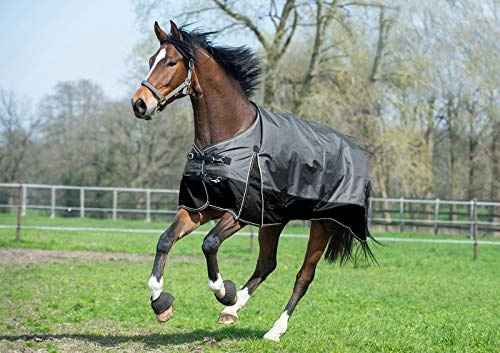 EQuest Outdoordecke Turnout Kingston 300g/m² Füllung, 600D in Anthracite/Black, Größe:XL (155cm)
