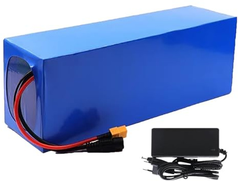 Batterie Lithium 48 V 20 Ah pour Draisiennes, Vélos Électriques Et Trottinettes, avec Chargeur, Batterie Lithium-ION Étanche pour Vélos Électriques. XT90+JST