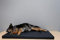 Beckers Beste Hundematte Kunstleder (85cm x 55cm x 5 cm, braun)