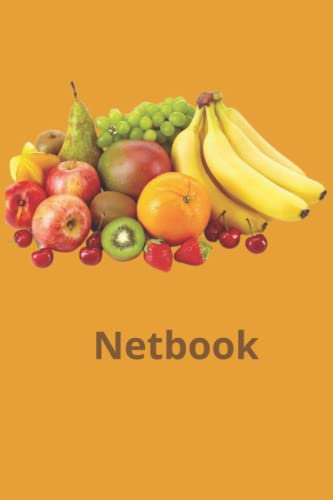Netbook
