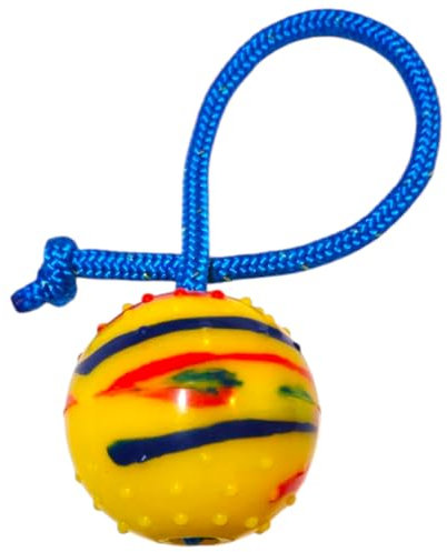 EQ K9 Dog Ball on a Rope, Durable Dog Training Ball for Exercise and Reward, Throw & Fetch, Catch, Tug of War, Luring, Indoor & Outdoor, Bouncy, for Large Dogs, Ø 6.7 cm