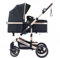 Daliya® NEOMOVE 2in1 Kombi-Kinderwagen | Buggy | klappbare Babywanne und Sportsitz | Große Räder | Rückenlehne stufenlos | Leichter Alu-Rahmen | Großer Einkaufskorb (Gold-Schwarz)