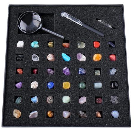 Rock Collection Box – Hochwertiger Hobby Rock Tumbler, transparentes Rocks Collection staarter Kit | Edelstein-Set mit Beschreibungsblatt für Kinder, Jungeen und Mädchen