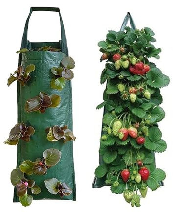 Agrdeed 2 Stück Erdbeere Pflanzsack,Pflanztasche Hängend Vertikal Pflanzsack Pflanzbeutel Erdbeere Grow Tasche mit 8 Löchern für Gartenerdbeeren, Kräuter, Blumen (Grün)