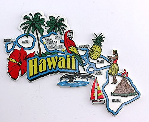 Hawaii State Map and Landmarks Collage Fridge Souvenir Collectible Magnet FMC