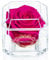 Eternal Petals A 100% Real Rose That Lasts Years, Handmade in London – Gold Solo (Hot Pink)
