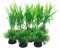 Smoothedo-Pets Aquariumpflanzen, kleine Größe/10-teiliges Set, Kunststoff, künstliche Pflanze, Goldfisch, Wasserlandschaft, Fischverstecke für kleine Aquarien/Schalen (10 Stück-B-Set)