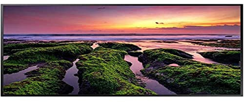 Nuotraukų rÄ—melis Monitorius SAMSUNG QB43B 43inch UHD/4K 16:09 Edge-LED 350nits Speakers 2x10W juodas 3xHDMI 2 RS232 in/Out USB 2.0x2 Ethernet WiFi
