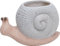 Trend Line Pflanztopf Schnecke Ton 21,5 x 14 cm grau rosa Dekofigur