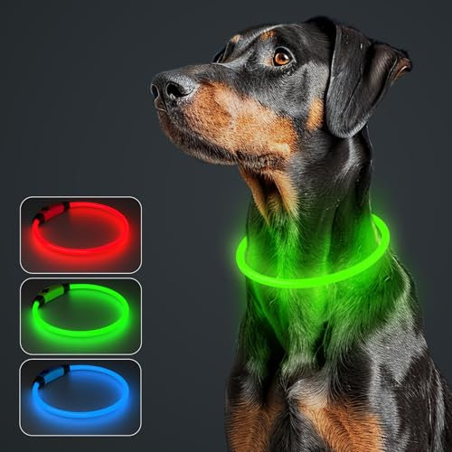 MASBRILL Leuchthalsband Hund Aufladbar, Hundehalsband Leuchtend Wasserdicht mit 3 Beleuchtungsmodi, Einstellbare Länge LED Halsband für Kleine, Mittlere und Große Hunde(Grün)
