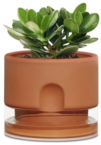 Pot de fleurs en terre cuite à arrosage automatique de 15,2 cm pour plantes d'intérieur, pot de fleurs à arrosage automatique avec réservoir transparent, grands pots en terre cuite d'extérieur, cadeau