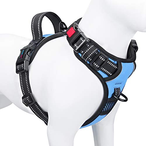 PHOEPET Anti-Zieh-Hundegeschirr, reflektierend, verstellbar, mit Trainingsgriff, Namensausweisfach, 2 Metall-Leinenhaken, 3 Schnappschnallen, einfaches Anziehen und Abnehmen, S, Babyblau