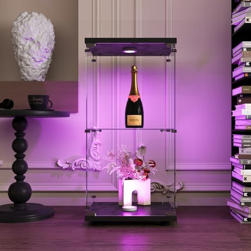 DADEA Glasvitrine, 2 Ablagen Glasschrank Vitrine, 1 Tür Curio Schränke mit Licht und Schloss, Bodenstehender Glasaufbewahrungsschrank für Schlafzimmer Wohnzimmer Büro (Schwarz, 2 Ebene)