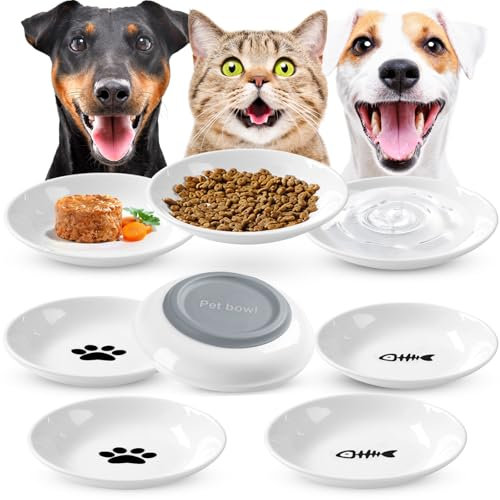 Katzennapf Flach Keramik Futterschale – 8 Stück Futternapf Katze, Whiskerfreundlicher Katzenfutternapf für Nass- & Trockenfutter, rutschfeste Katzenschüssel,katzenteller