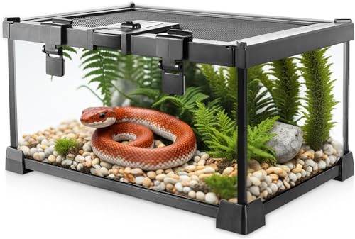 NEPTONION Mini-Reptilien-Glas-Terrarium, 30 x 20 x 14.5 cm, Vollsicht-Tank, kleine Amphibien, Glas-Lebensraum, Käfig mit Futterschlitz und Kastenschloss