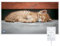 Hocosyme Pannello Radiante Infrarossi 800W, Temperatura Massima può Taggiungere i 120 gradi Celsius entro 3 Minuti - con Termostato Touch - 16 Anni di Garanzia - Certificazione TÜV - Gatto