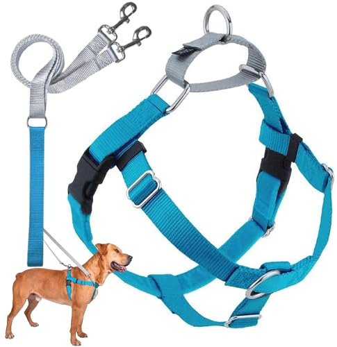 2 Hounds Design Freedom No-Pull Dog Harness with Leash, X-Small, 5/8-Inch Wide, Turquoise